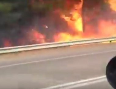 Πυρκαγιά σε εξέλιξη στην εθνική Πατρών- Πύργου - Ισχυρές δυνάμεις πυροσβεστικής και αστυνομίας στην περιοχή (φωτό, βίντεο)